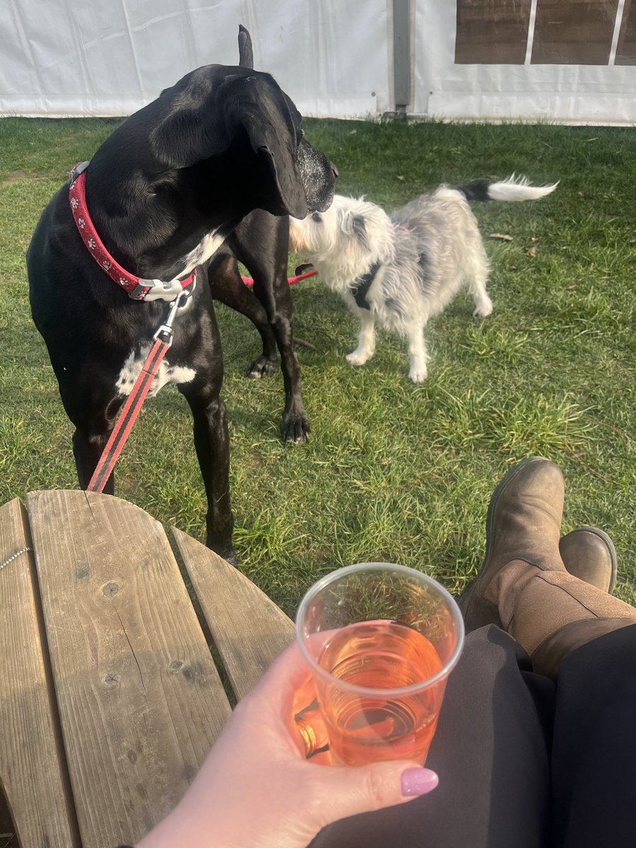 Lucy Connolly tweet media