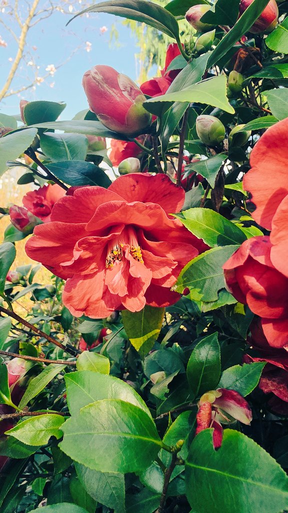 Mᴀʀᴋᴜs Fᴇʟʙᴇʀ tweet media