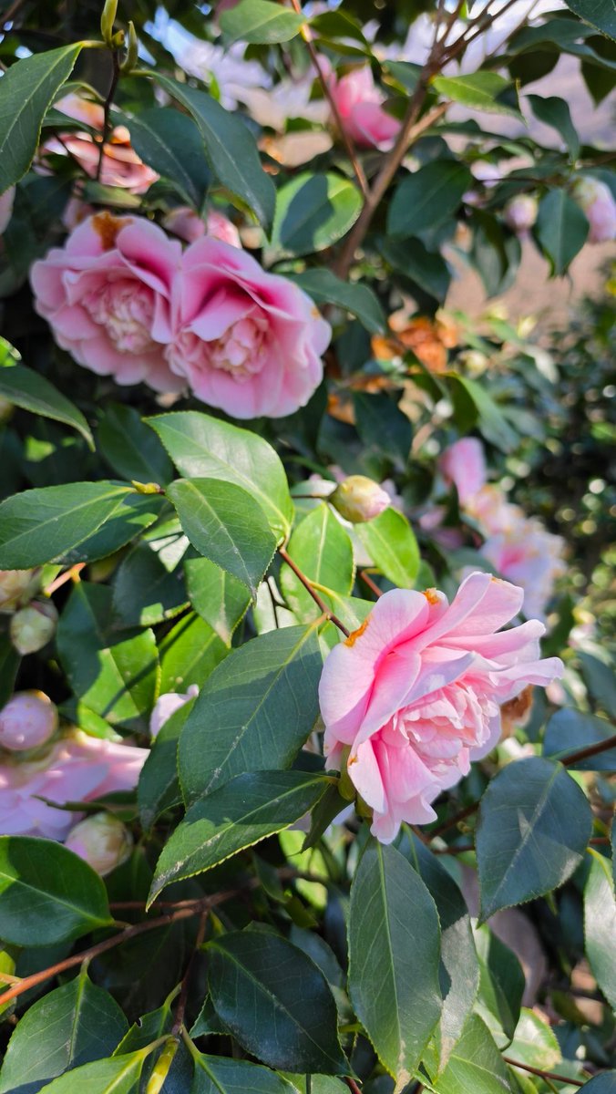 Mᴀʀᴋᴜs Fᴇʟʙᴇʀ tweet media