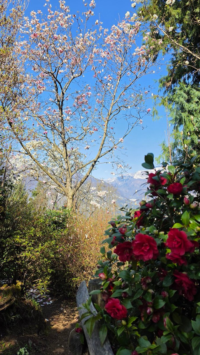 Mᴀʀᴋᴜs Fᴇʟʙᴇʀ tweet media