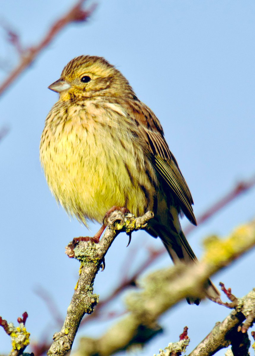 Tim Ridgeway tweet media