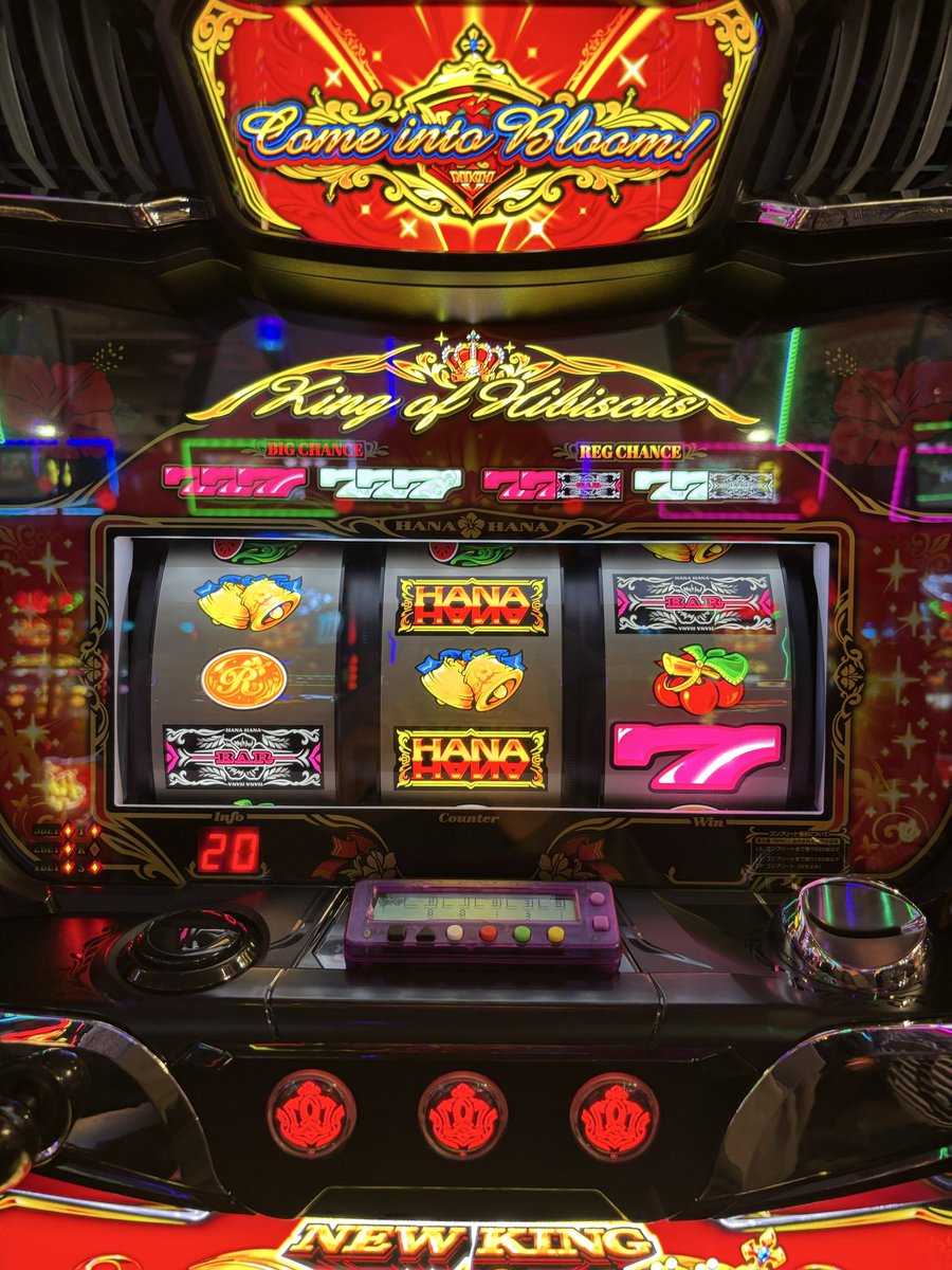 沈黙のハイビスカス tweet media