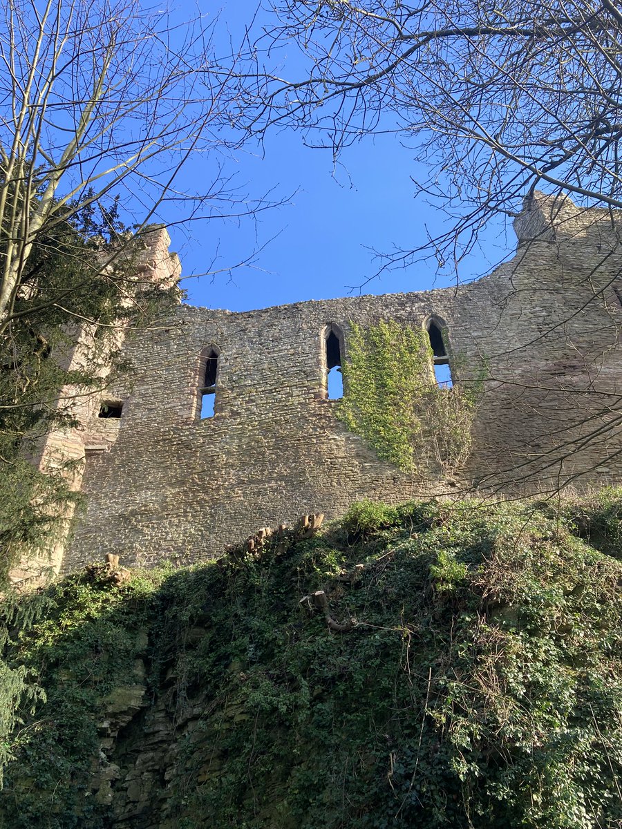 Salomé🕊️ tweet media