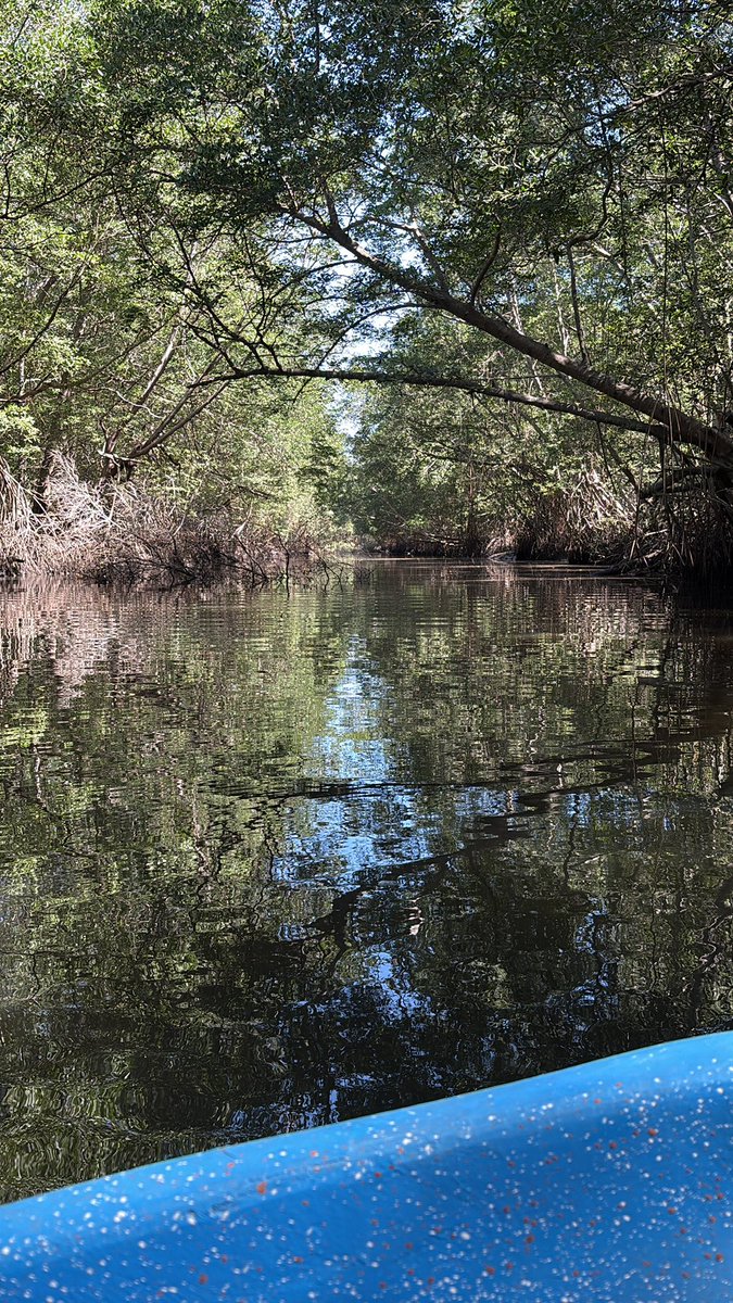 ☣️ Pleb Kruse = BTC foundationalist in exile 🟩🔆 tweet media