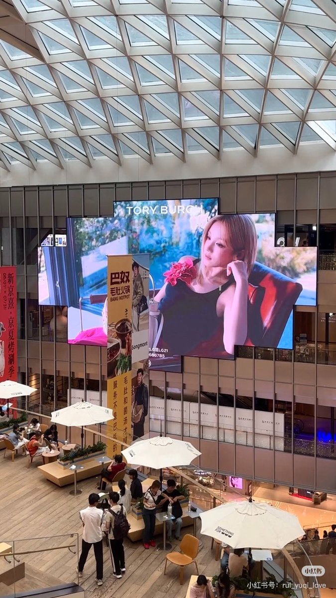 Just you tweet media