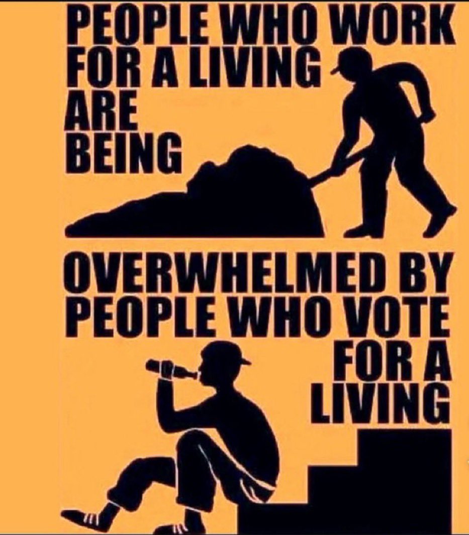 Michael A. Arouet tweet media