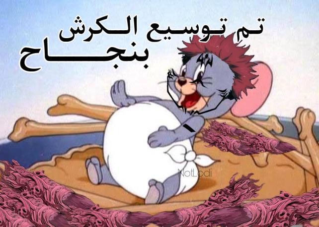 No Name 🍉 tweet media