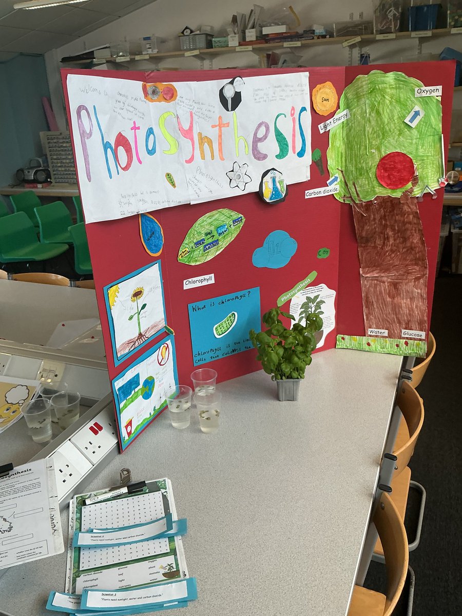 Miss Burrell tweet media