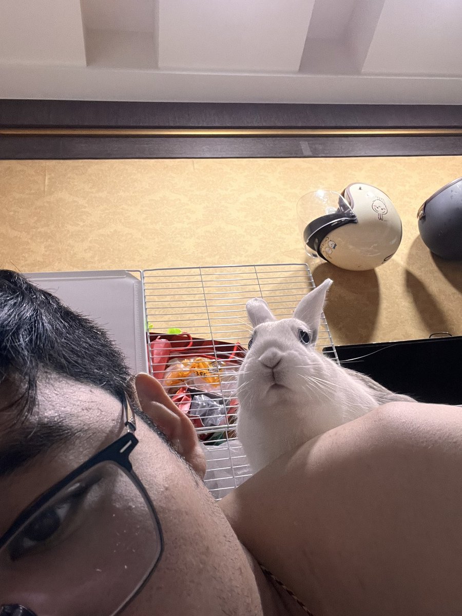 🦈鯊愚獸(´Д` )  tweet media