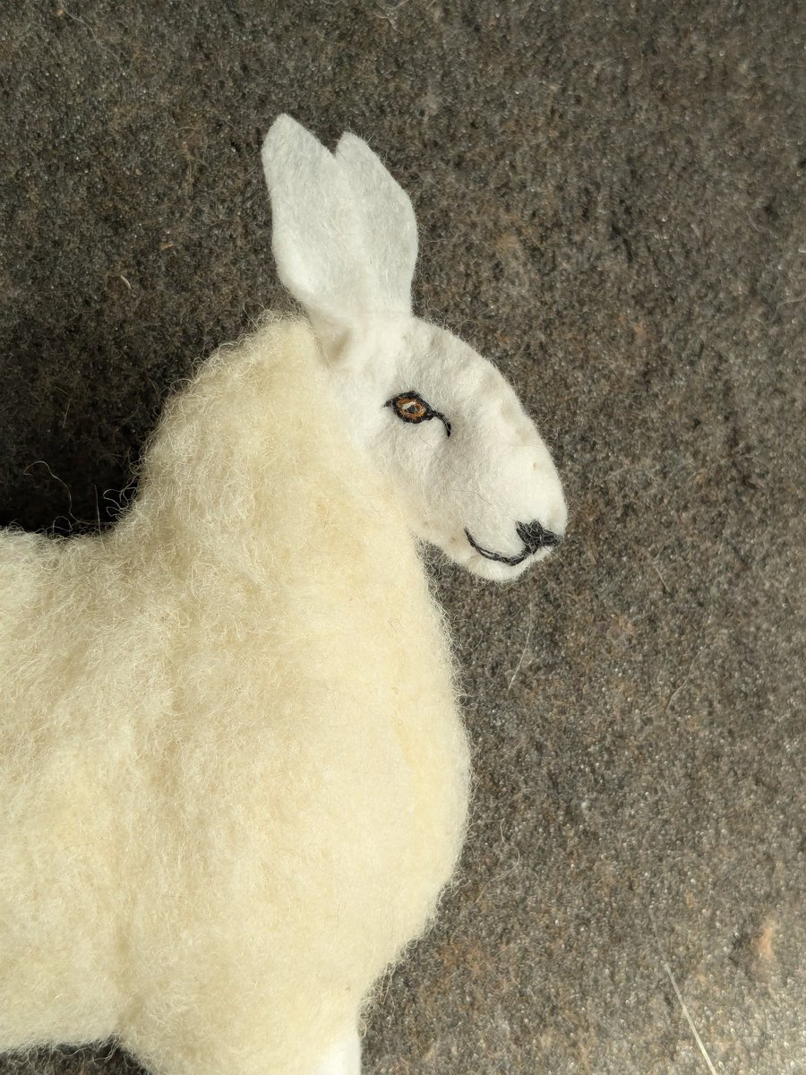 Sheep In Stitches tweet media