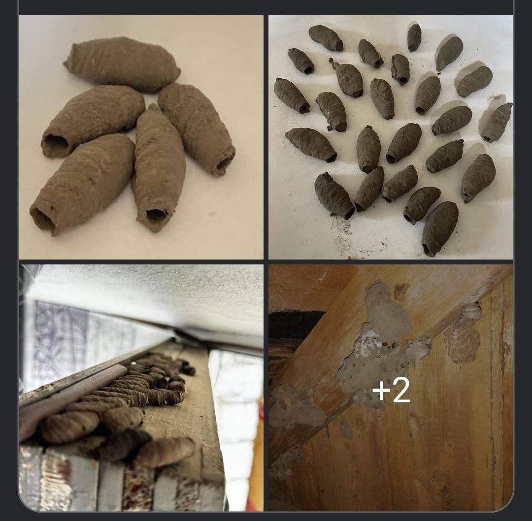 Типовий Дерново-карбонатний tweet media