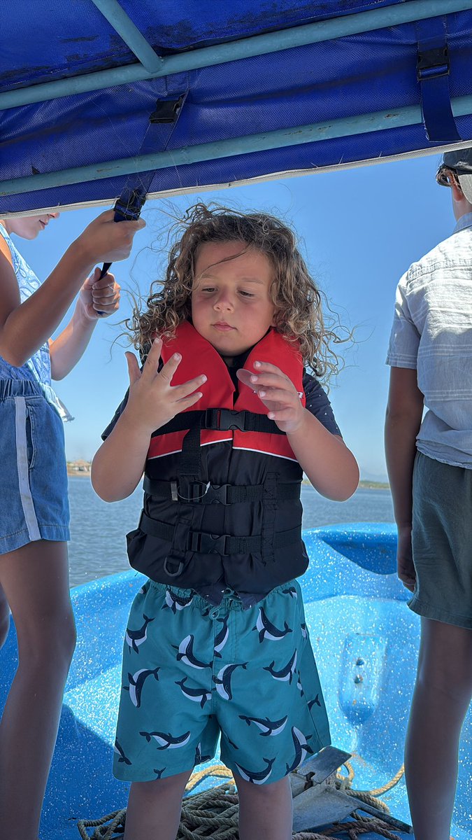 ☣️ Pleb Kruse = BTC foundationalist in exile 🟩🔆 tweet media