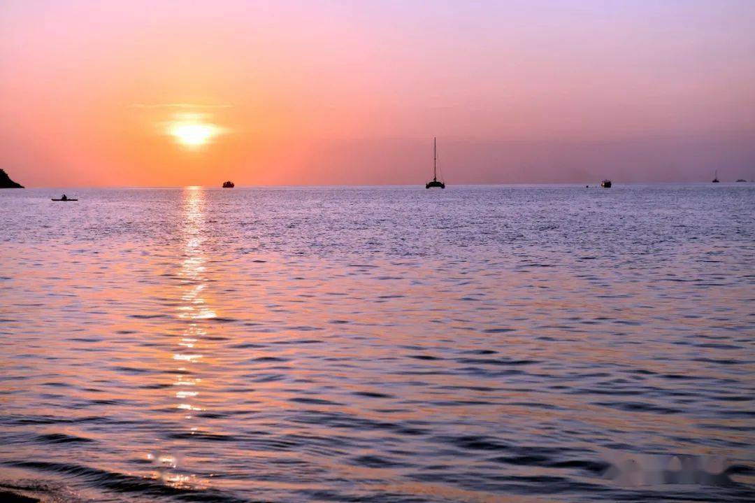 محمود tweet media