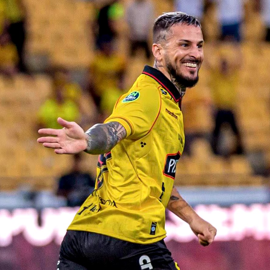 Gato Sessa🇩🇪 tweet media