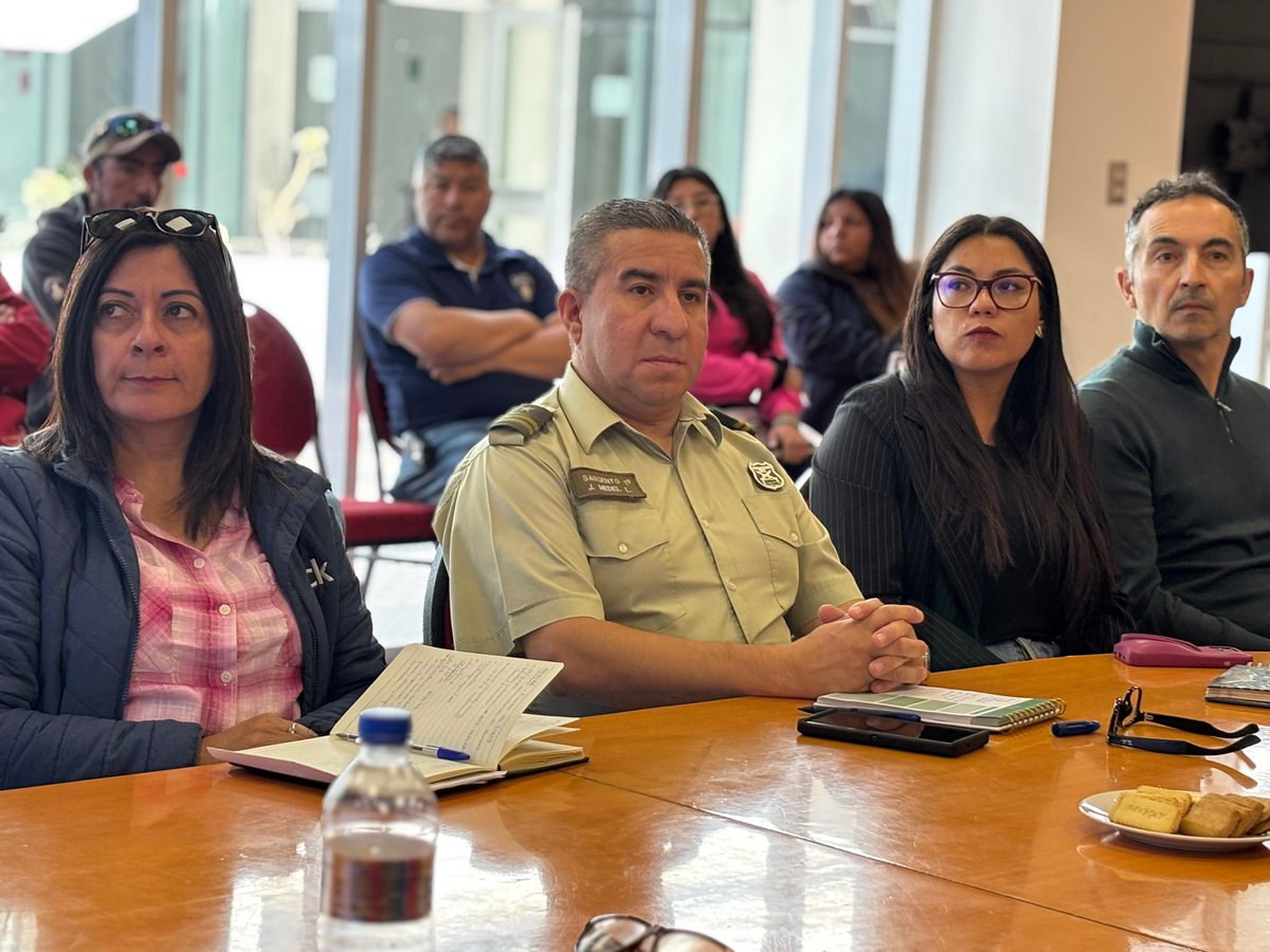 Alvaro Hormazabal tweet media