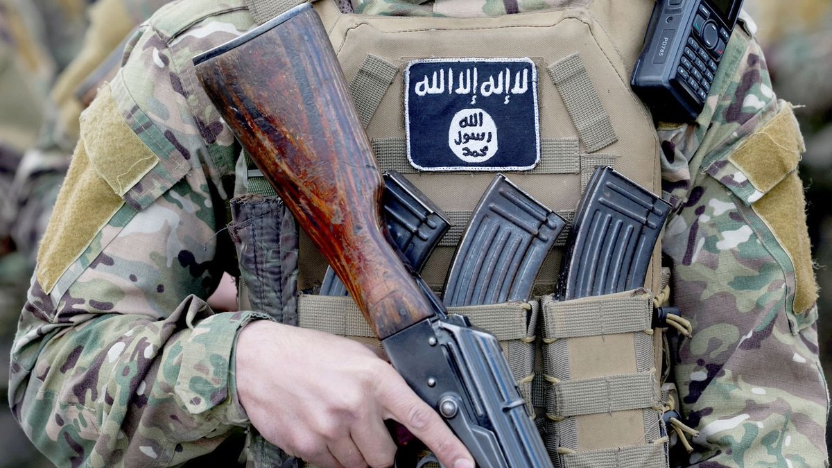 Visegrád 24 tweet media