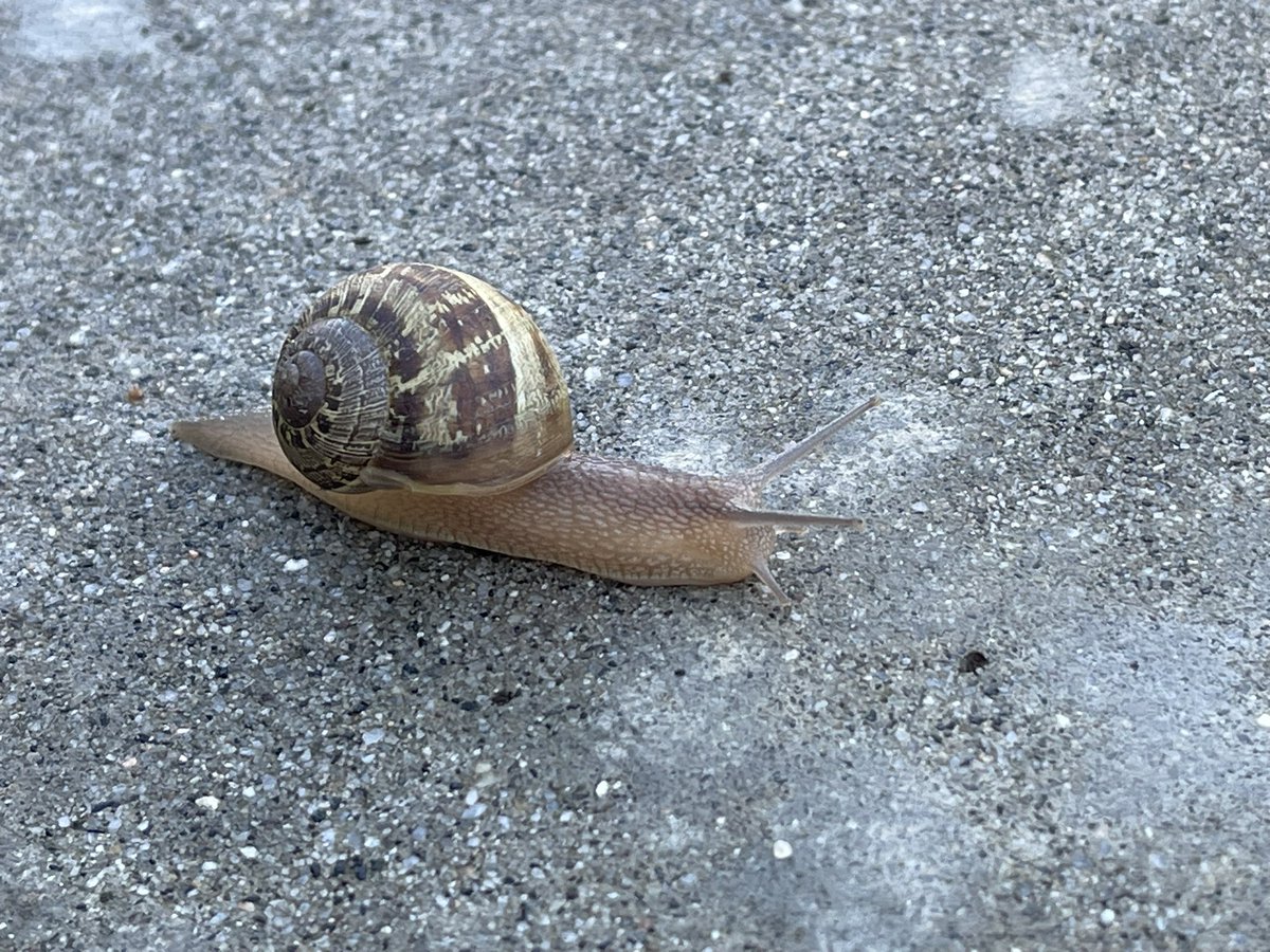 Groomed on Soulseek tweet media