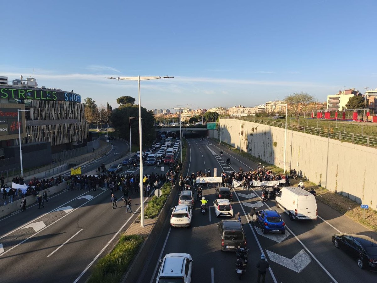 #PalestinaLliure 🇵🇸 tweet media