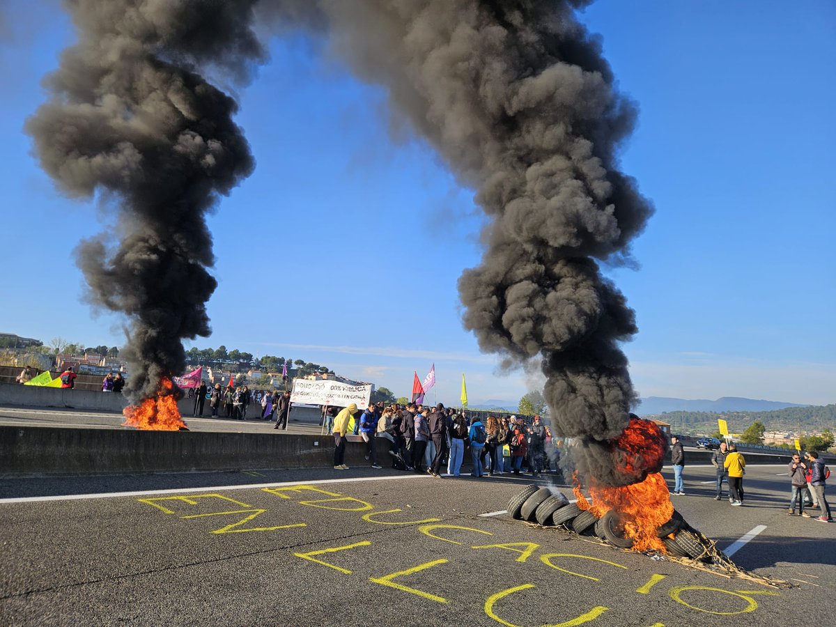 #PalestinaLliure 🇵🇸 tweet media