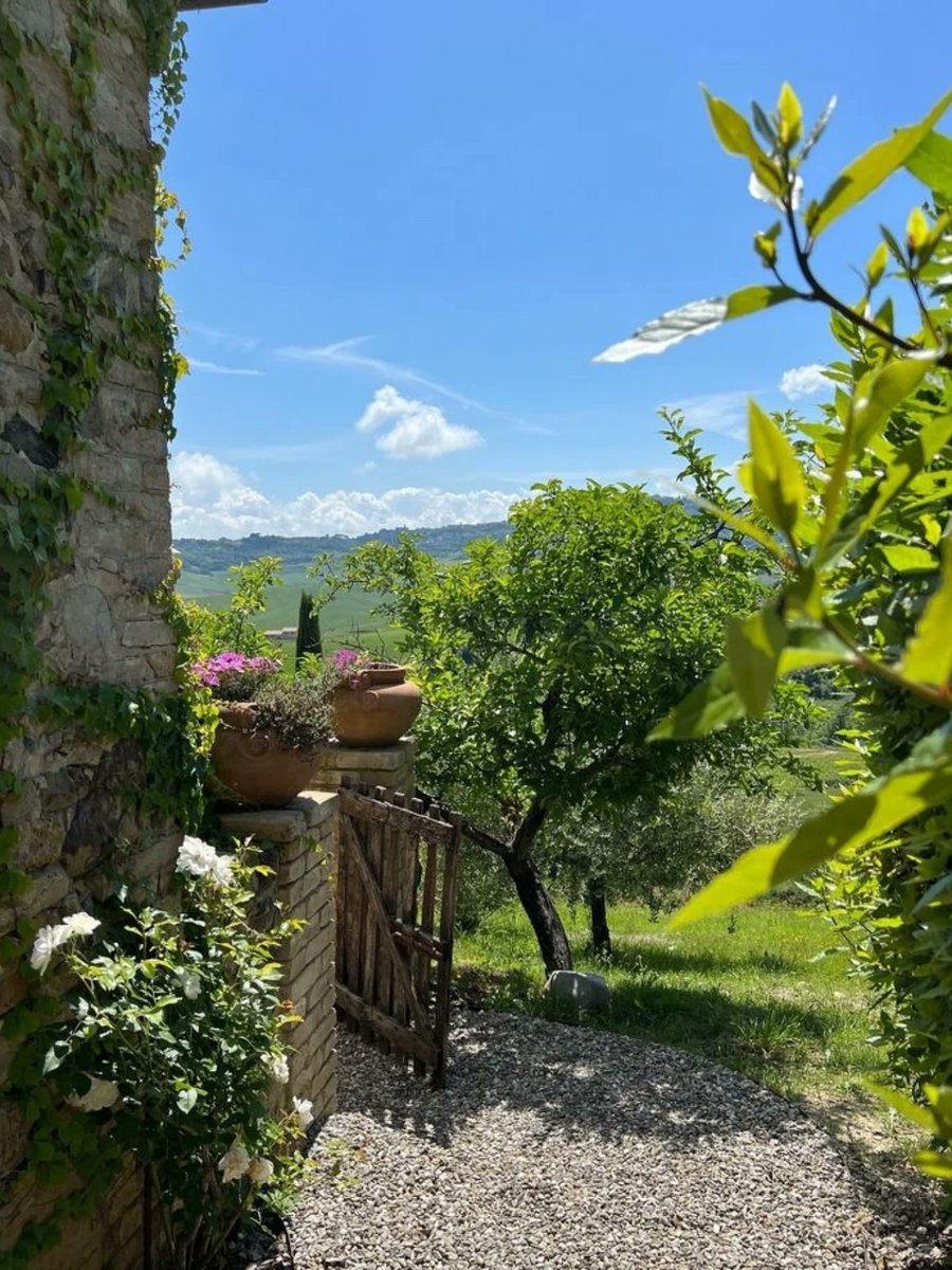 The World tweet media