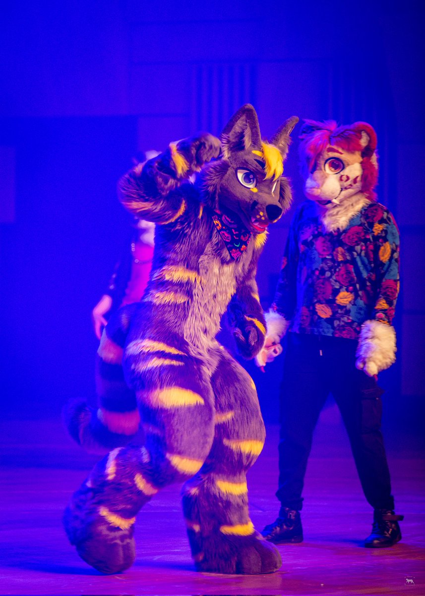 ToxicFox tweet media