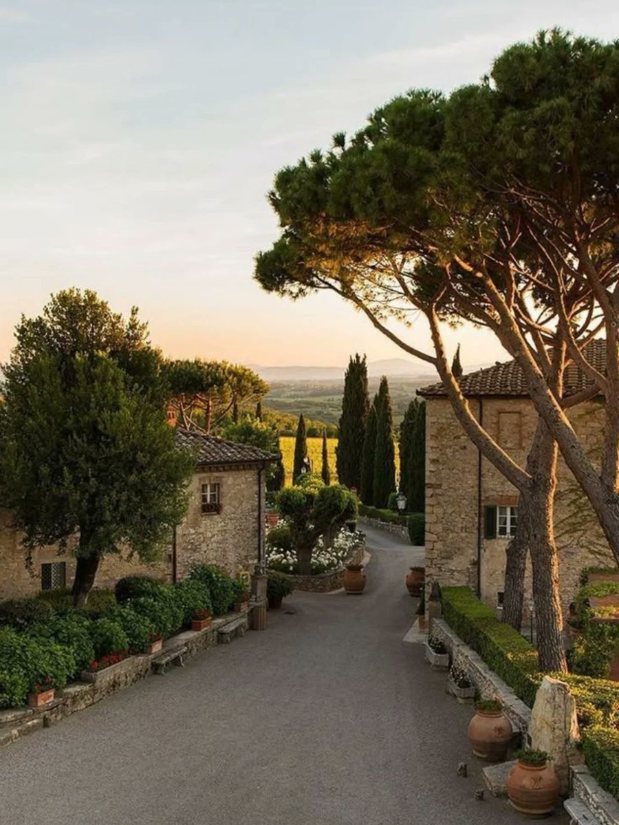 The World tweet media