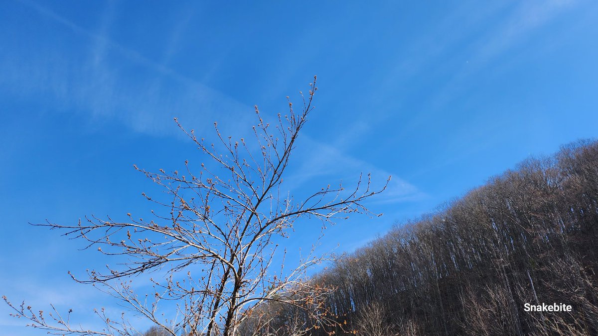 Snakebite Hoffman tweet media