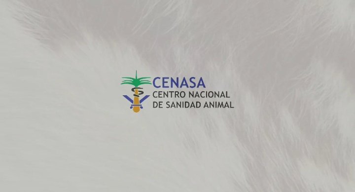 Mónica Puente🌻🌻 tweet media