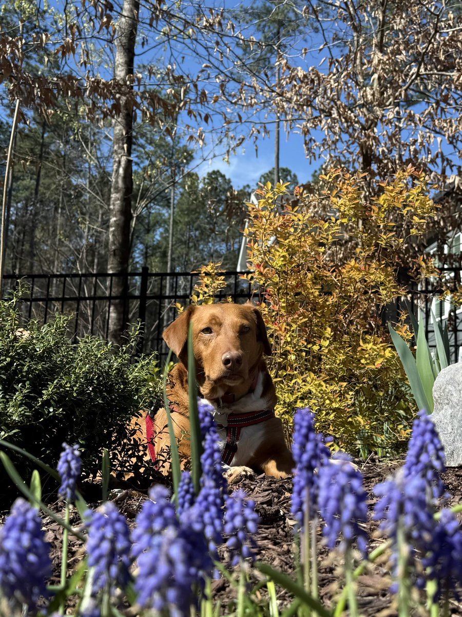 Luna.FosterFail tweet media