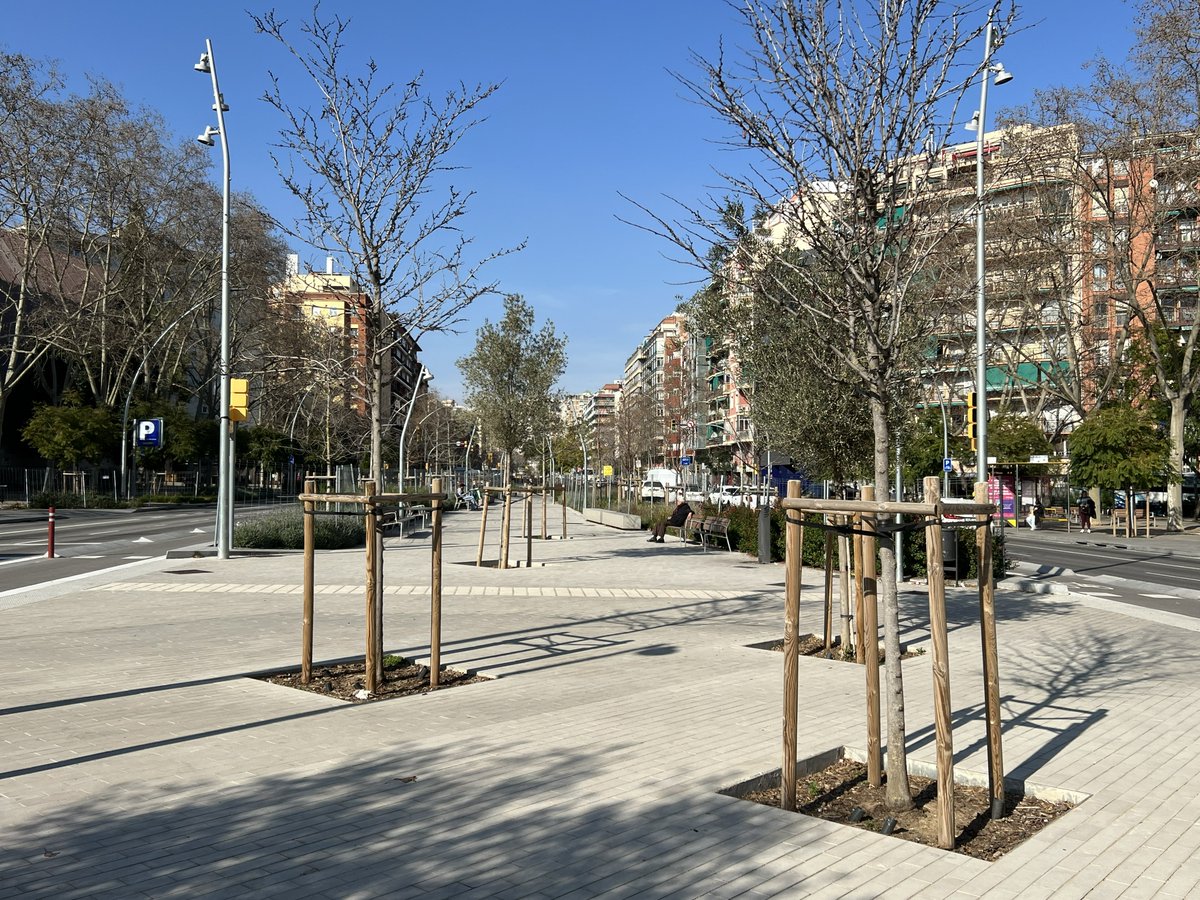 Barriades de Provençals tweet media