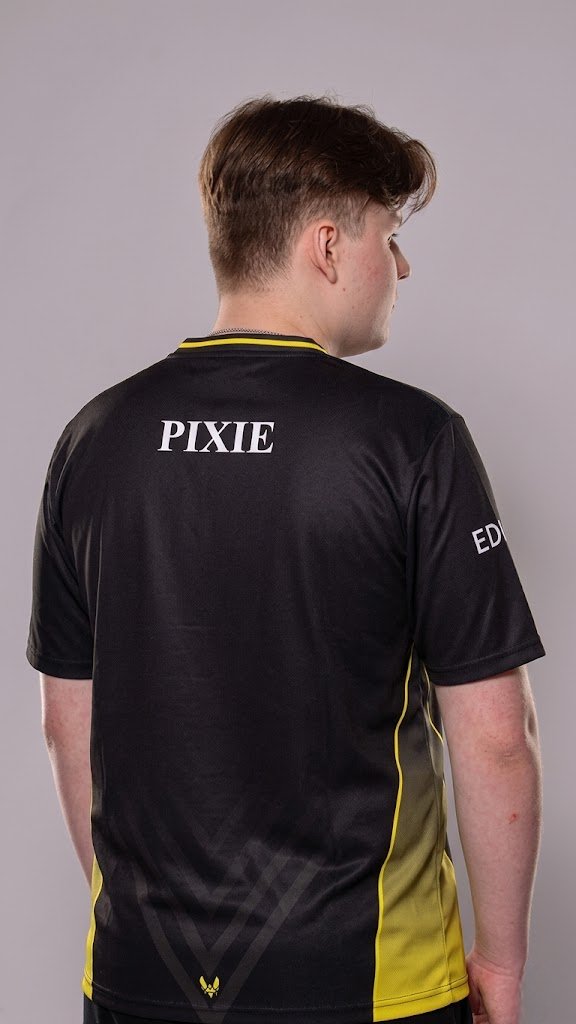 Inspector Fortnite Gadget 🔍 tweet media