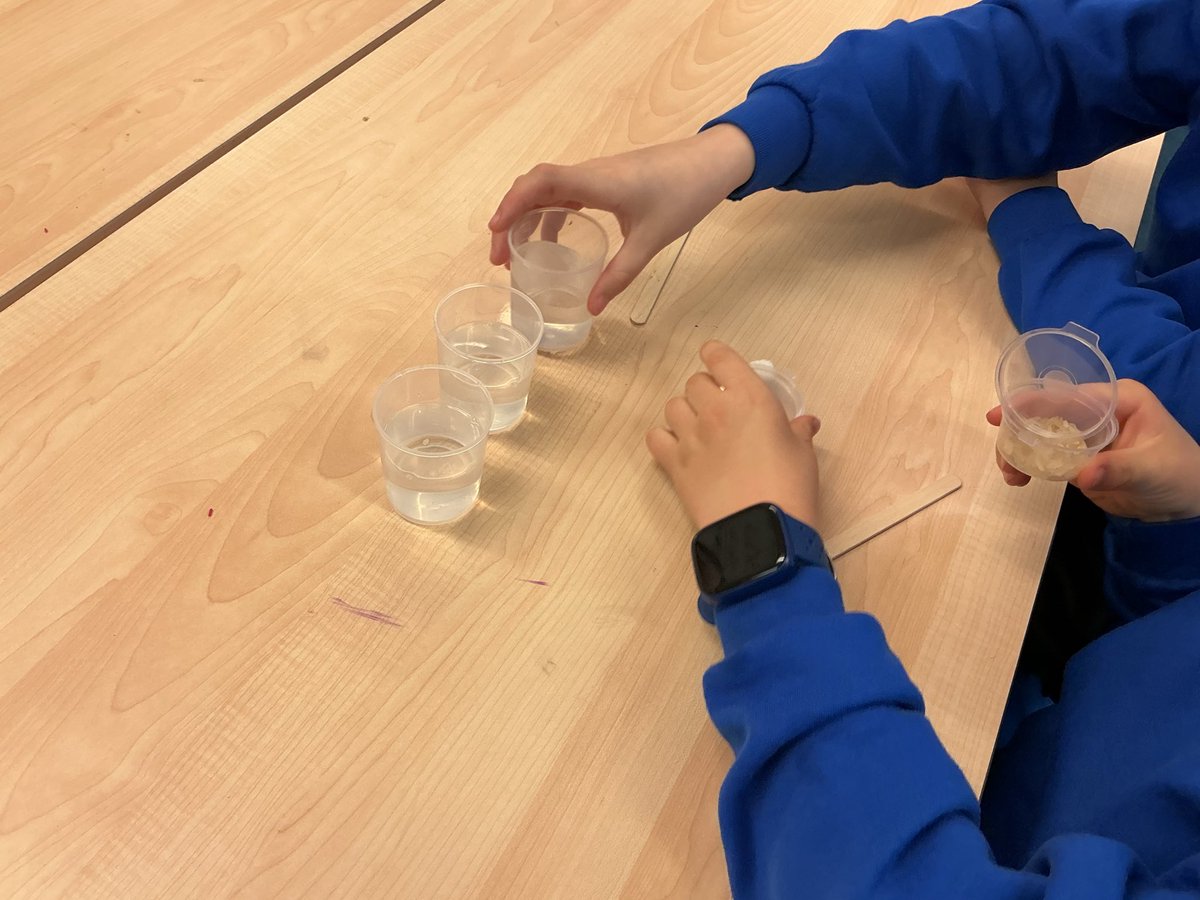 Y5Auckley's tweet image. Year 5 had a wonderful time looking at solubility as part of our ‘Properties of Materials’ topic 😊 #Britishscienceweek