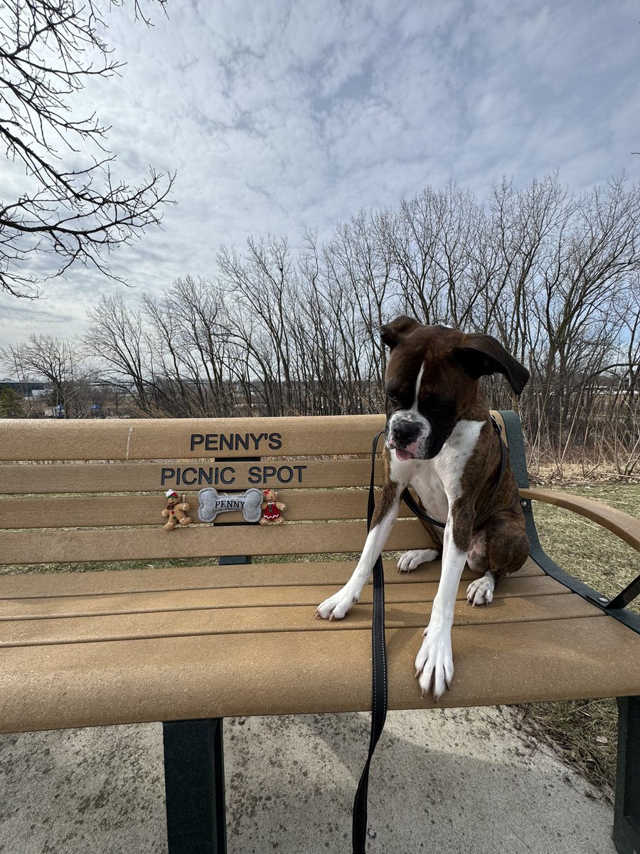 Colby Marchio tweet media