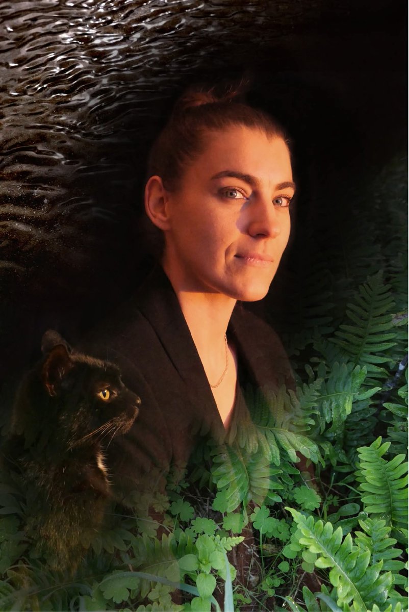 Préfet des Côtes-d'Armor tweet media