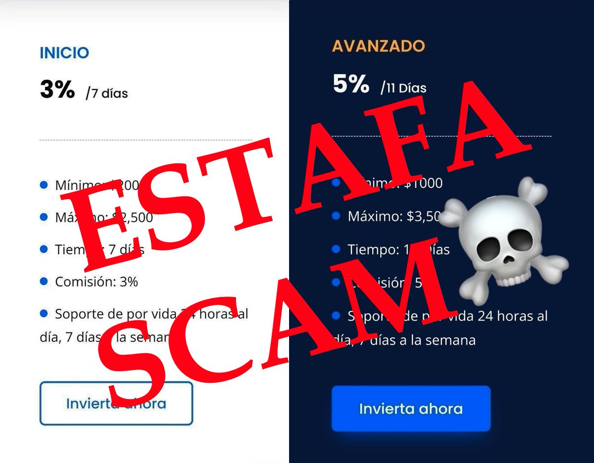 Ani₿al Garrido tweet media