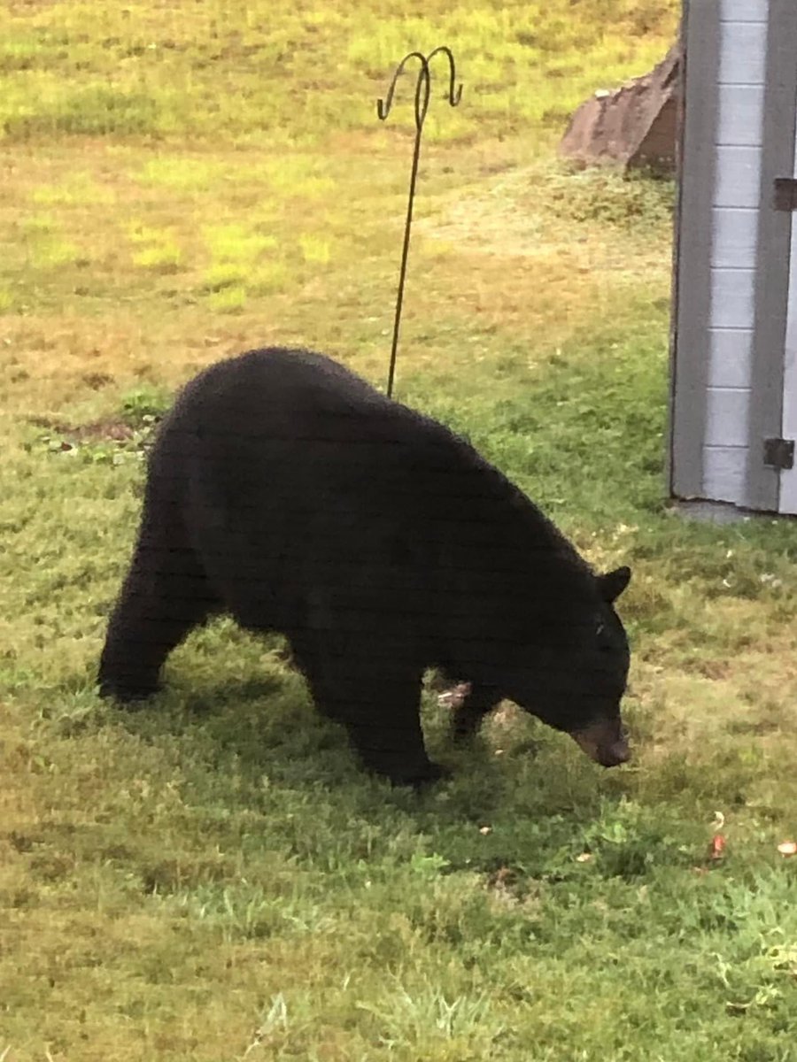 Leslie T. Sharpe tweet media