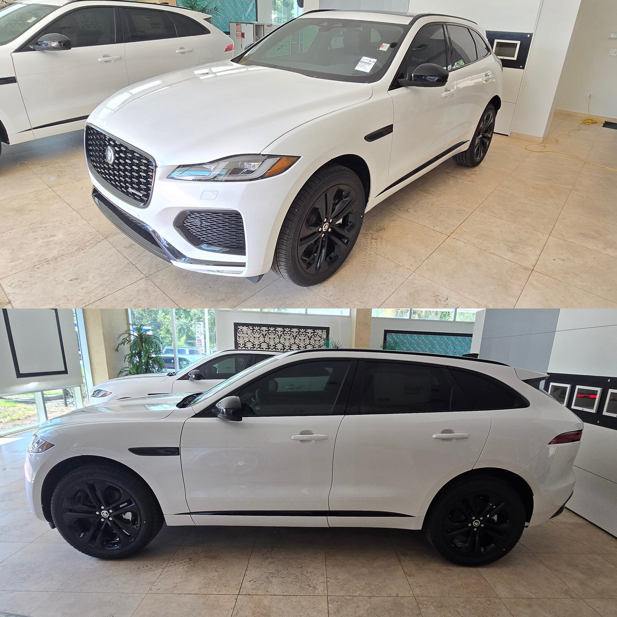 Bay Area Film Solutions tweet media