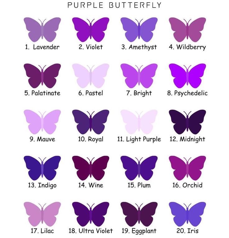 violet✧*｡ tweet media