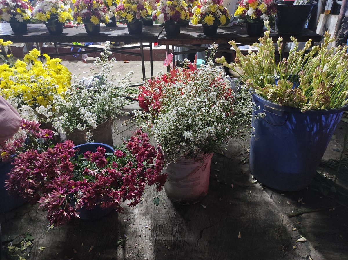 Ada yg belanja kembang juga kah ?