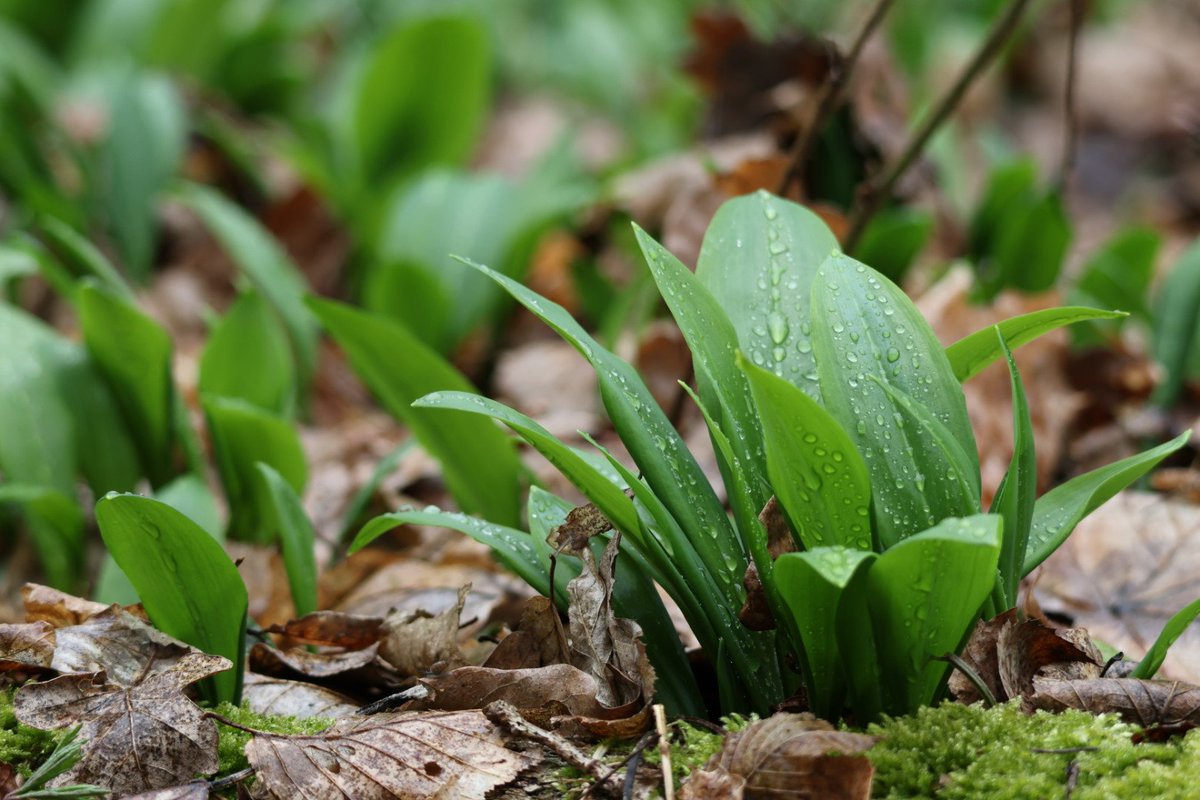Magda Grzybiara tweet media