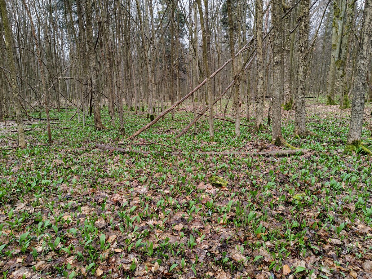 Magda Grzybiara tweet media