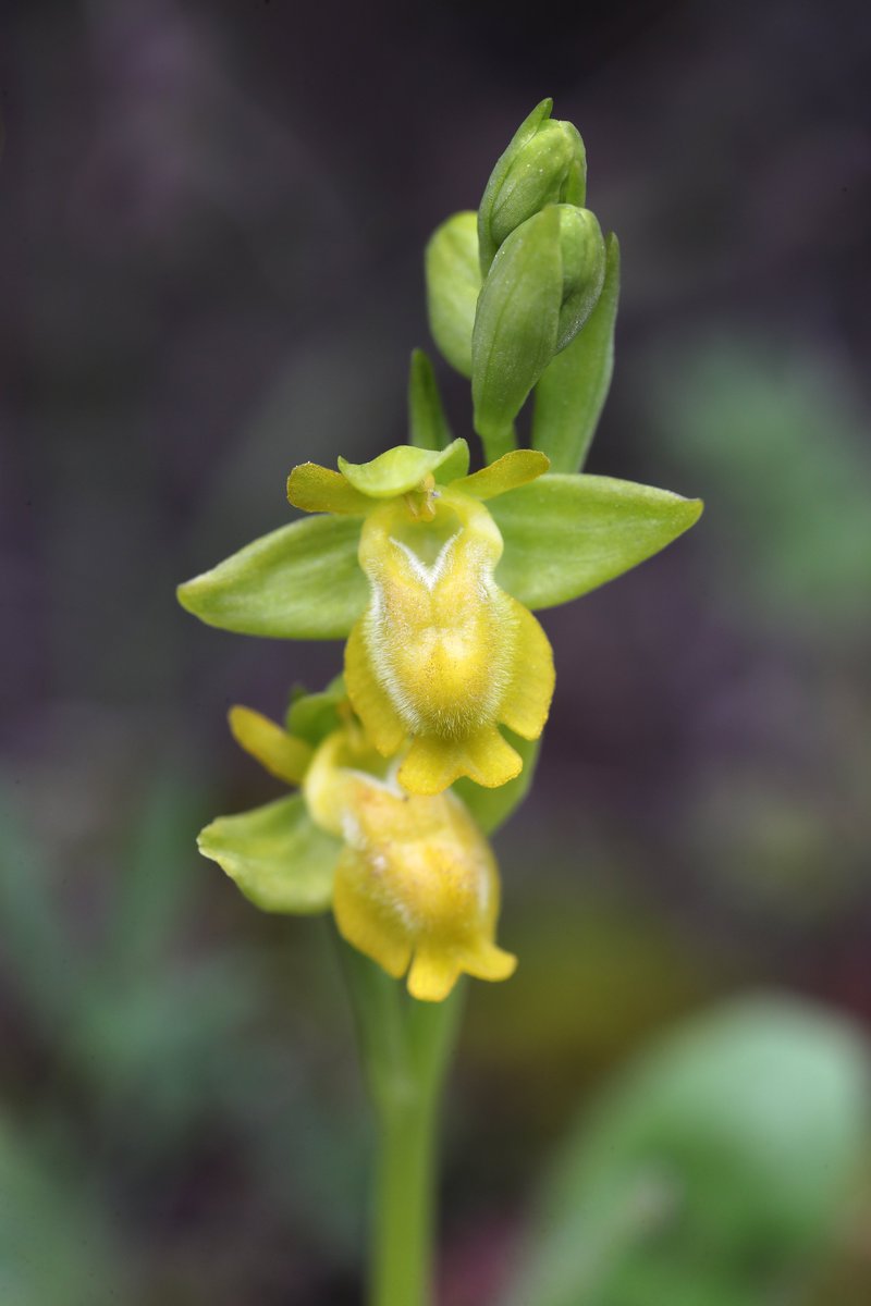 Jon Dunn 🇺🇦 tweet media