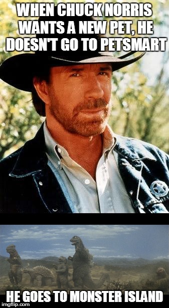 Dereliquit Lupus tweet media