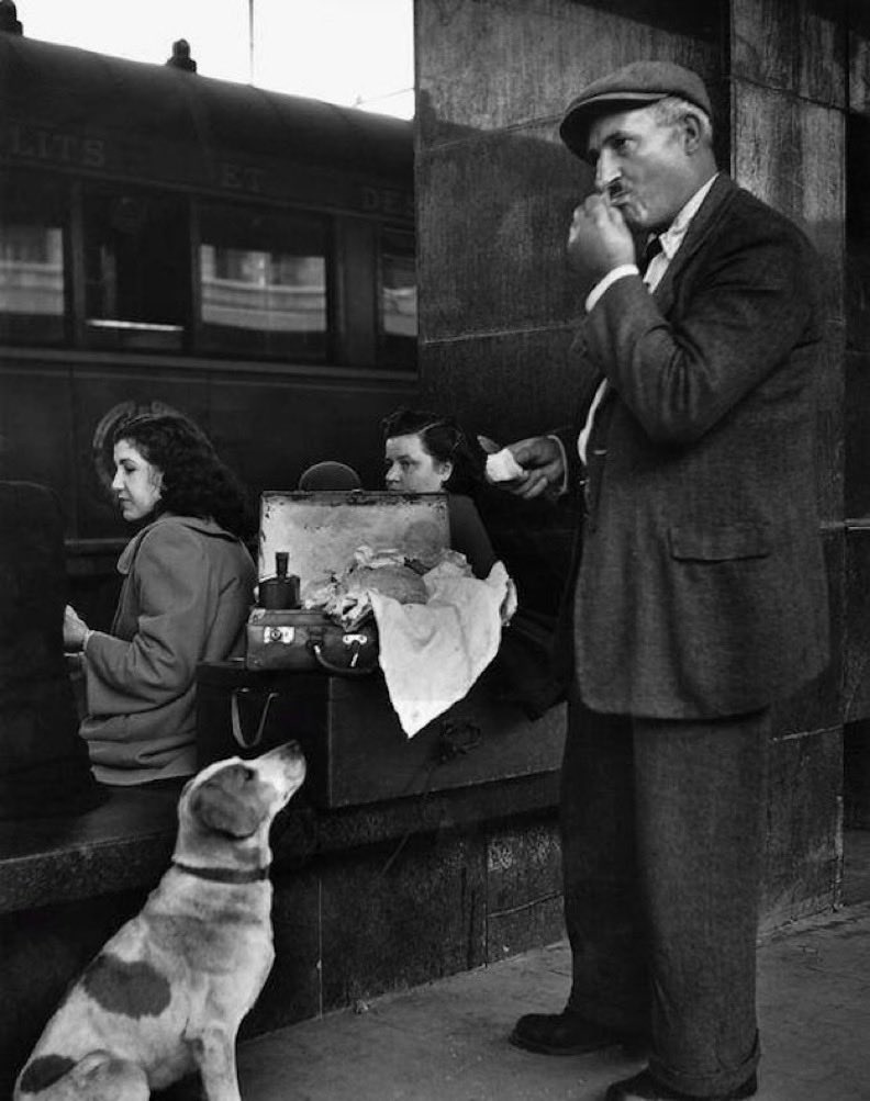 L'uomo degli abissi tweet media