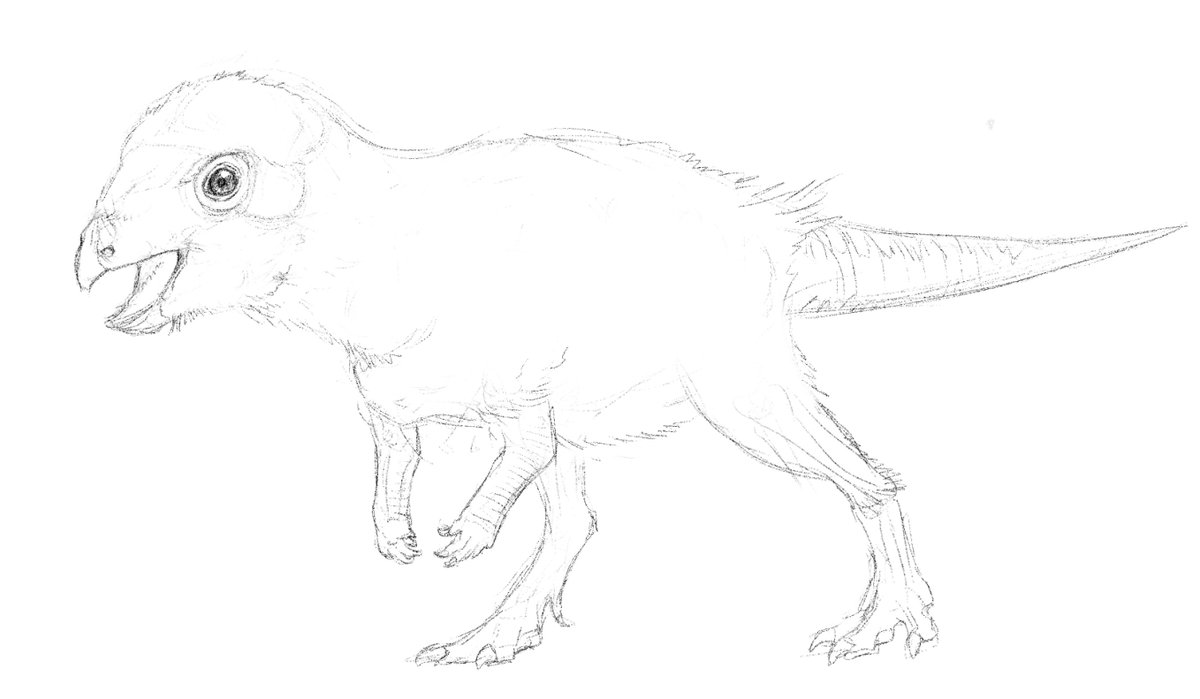 paleOelaq tweet media