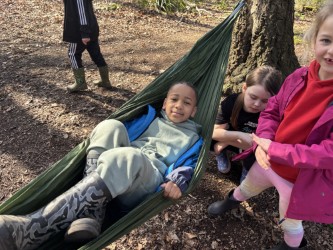 DittonPS tweet media