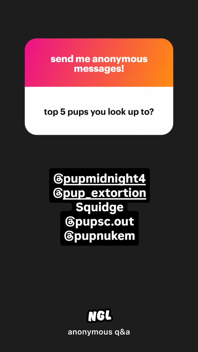 Milo Pup 🔜 DoggyWeekend 2024 tweet media