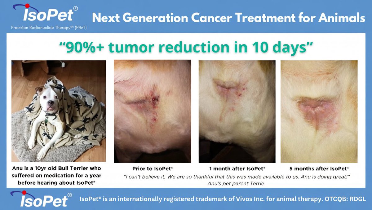 JimTom44's tweet photo. Anu! Great story. Bless this dog, his family and @IsoPetForCancer. We're hearing more and more stories like this. 100+ successful treatments and counting. $rdgl https://t.co/O0Xa160Jvh