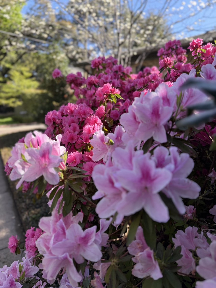 Sara "Sparky" Baumann ⚡️ tweet media