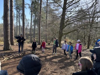 DittonPS tweet media